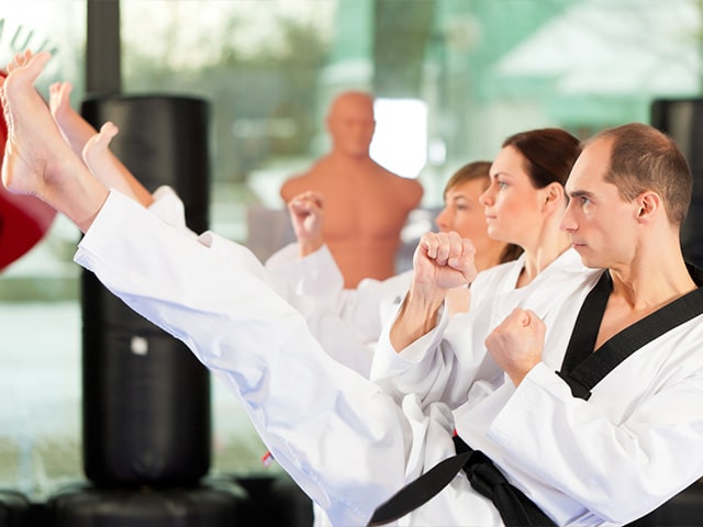 martial arts schools software