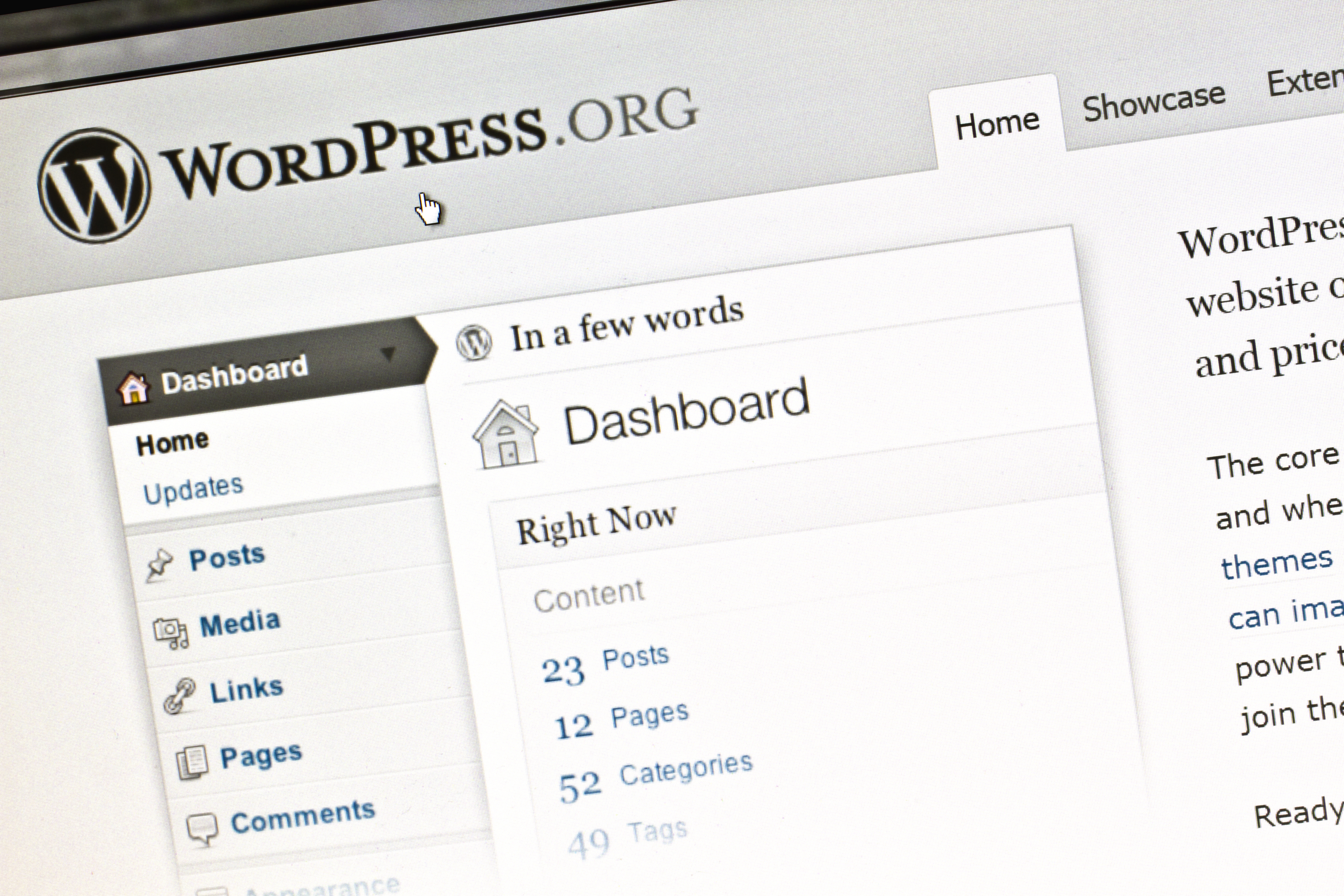 essential wordpress plugins