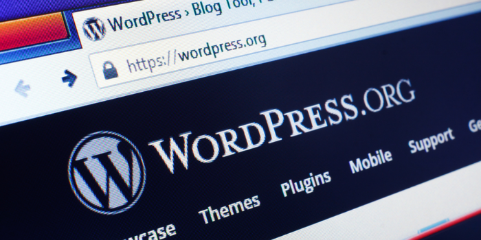 5 Reasons Why International Companies is Using WordPress
