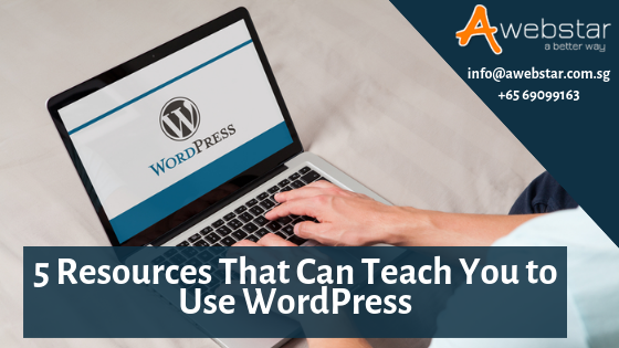 resources teaches you wordpress pro