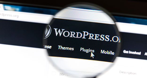 wordpress-training