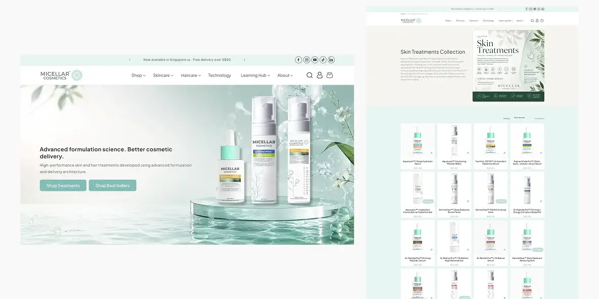 micellar cosmetics learning hub